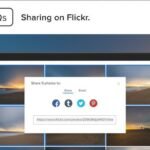 Best Ways to Use Flickr for Photo Sharing