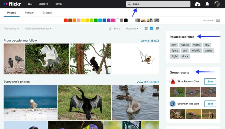 Exploring Flickr’s Advanced Search Features for Photographers