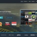 Free vs. Paid Online Photo Management Tools