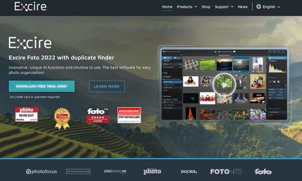 Free vs. Paid Online Photo Management Tools