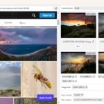 How to Create Stunning Flickr Photo Galleries