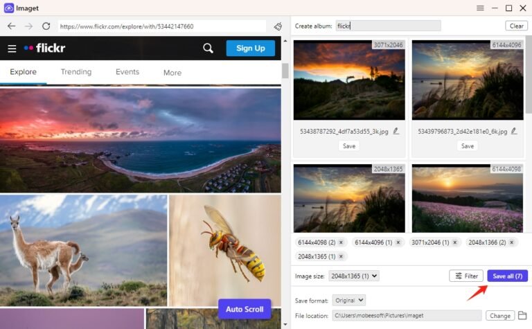 How to Create Stunning Flickr Photo Galleries