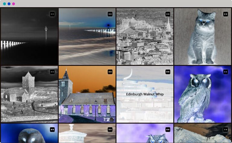How to Embed Flickr Photos on Your Website