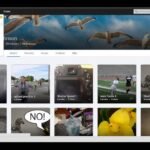How to Get the Most Out of Your Flickr Account