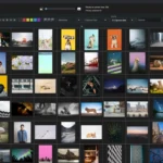 The Best Online Photo Organizing Software for 2024